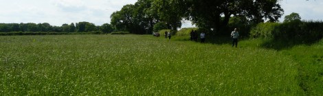 Positive Images Festival Walks